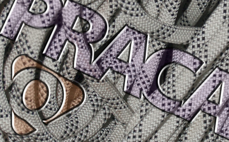  Szukamy pracowników