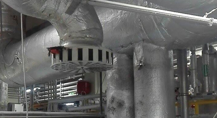 Zadbaj o miejsce pracy wybierając mycie hal