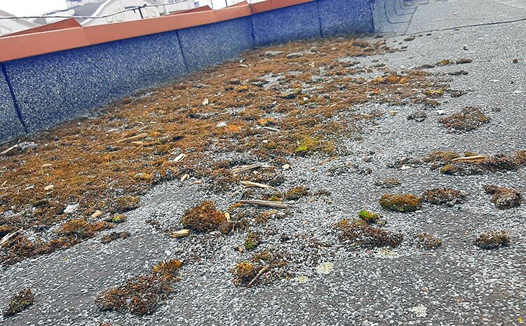  Sezon na&nbsp;czyszczenie dachów i&nbsp;rynien