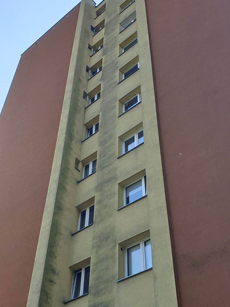 Jak zwalczyć pleśń, porosty i grzyby na elewacji budynku?