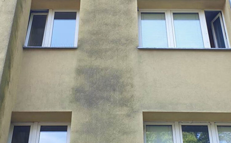  Jak zwalczyć pleśń, porosty i&nbsp;grzyby na&nbsp;elewacji budynku?