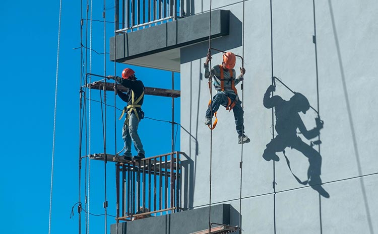  Remonty a&nbsp;okres ochronny ptaków w&nbsp;mieście